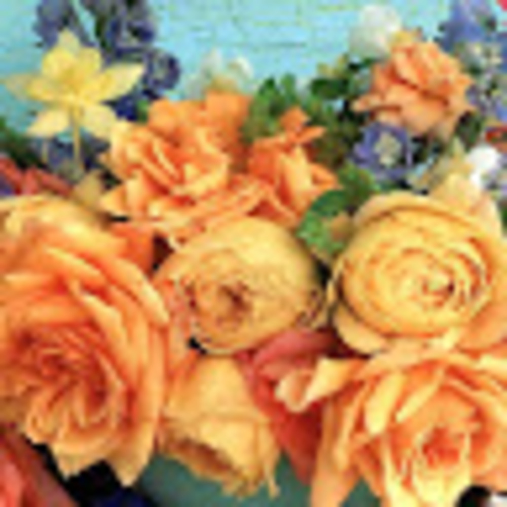 Meet your Posher, Bibmomma